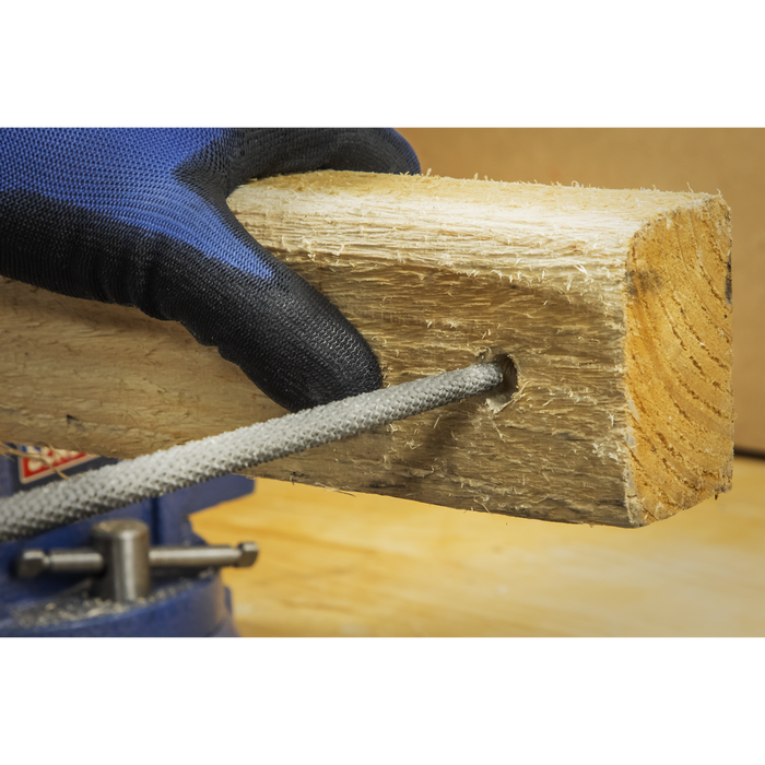 Premier Rasp File Set 3pc | AKR03