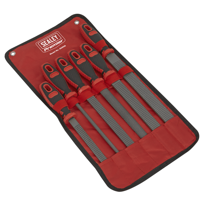 Premier Rasp File Set 6pc | AKR06