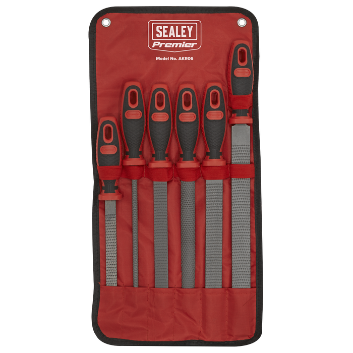 Premier Rasp File Set 6pc | AKR06