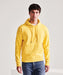 Men's Anthem hoodie