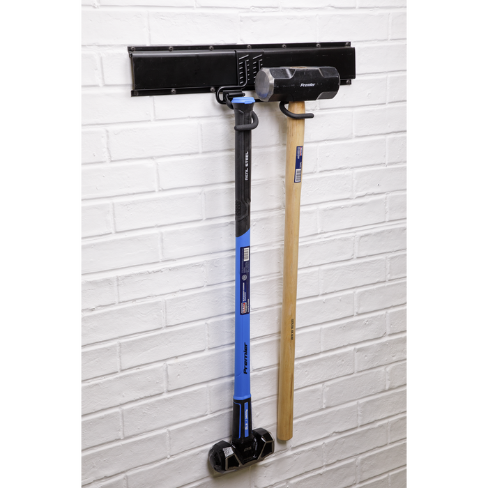 Double S Storage Hook | APH08