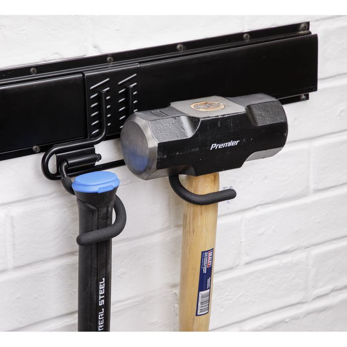Double S Storage Hook | APH08