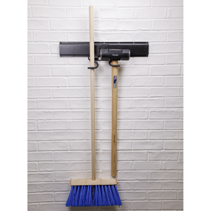 Double S Storage Hook | APH08