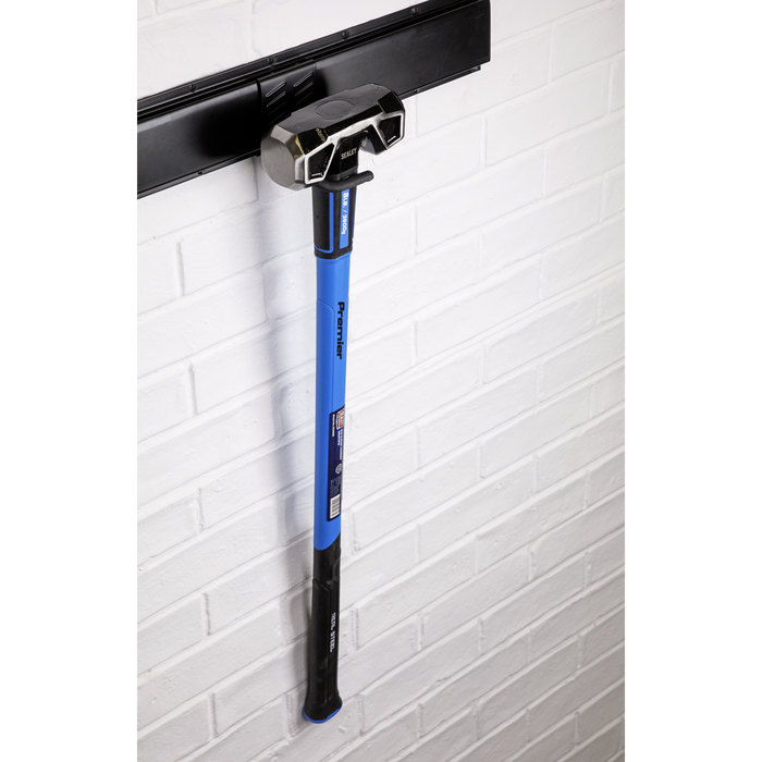 Single S Prong Storage Hook | APH11