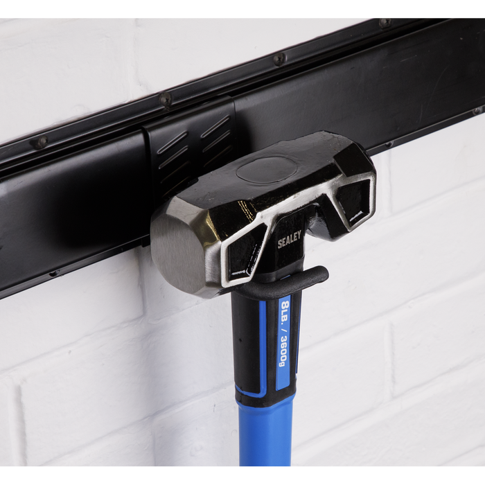 Single S Prong Storage Hook | APH11