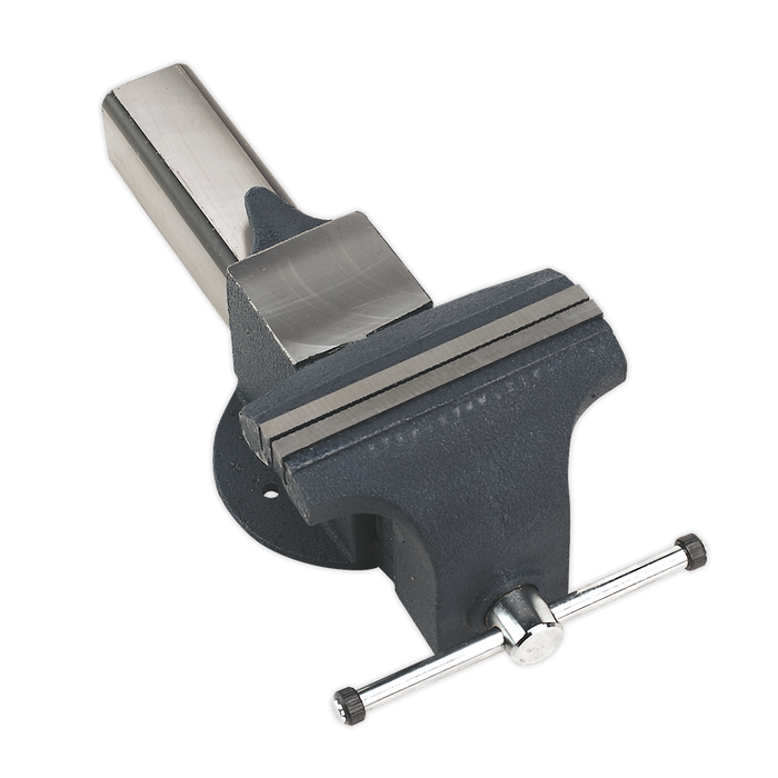 All Steel Vice 200mm | ASV200