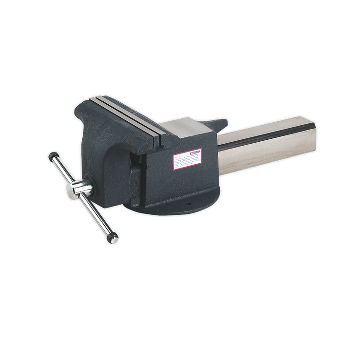 All Steel Vice 250mm | ASV250