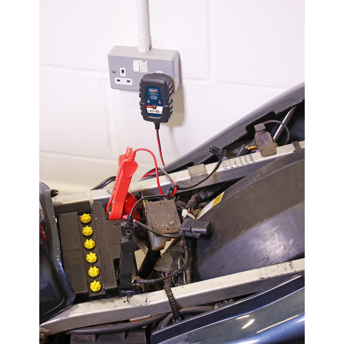 6/12V Compact Smart Trickle Charger & Maintainer 1A | AUTOCHARGE100HF