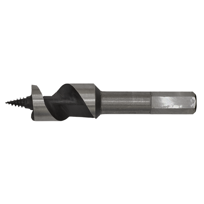 Auger Wood Drill Bit 20 x 100mm | AW20x100