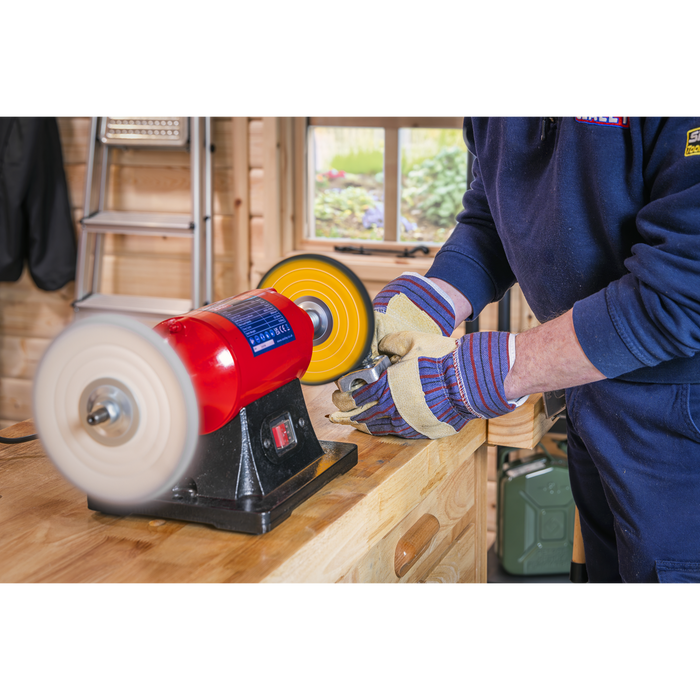 150mm Bench Mounting Buffer/Polisher 370W/230V | BB1502