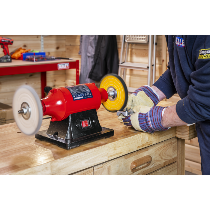 150mm Bench Mounting Buffer/Polisher 370W/230V | BB1502