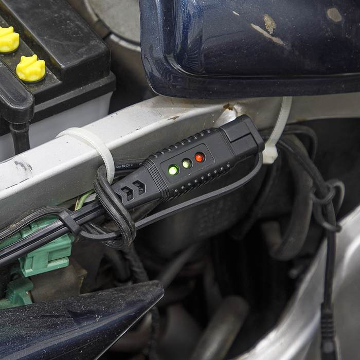 12V Ring Terminal Battery Indicator Cable | BCC2
