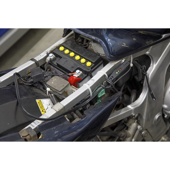 12V Ring Terminal Battery Indicator Cable | BCC2