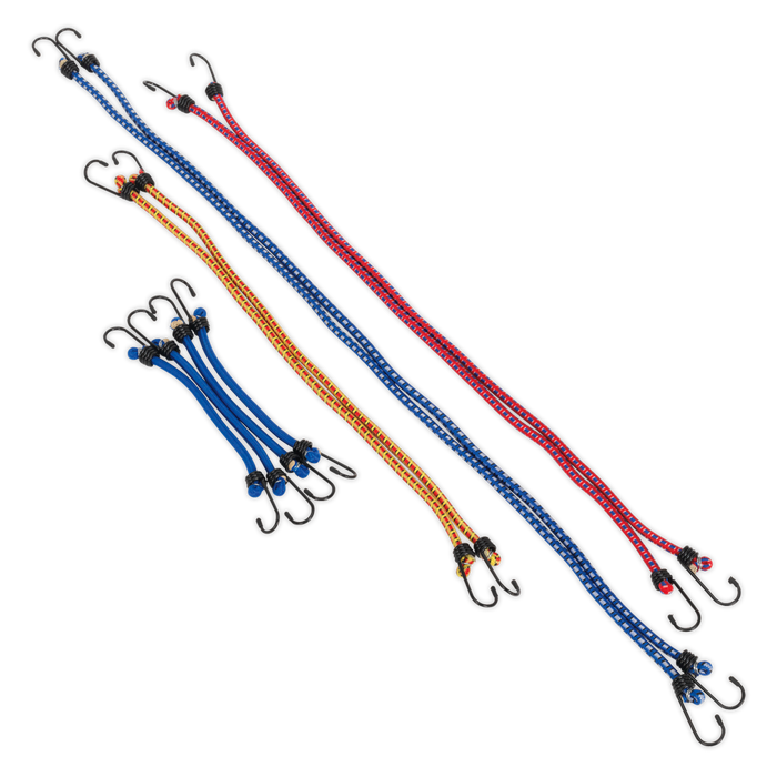 Bungee Cord Set 10pc | BCS10
