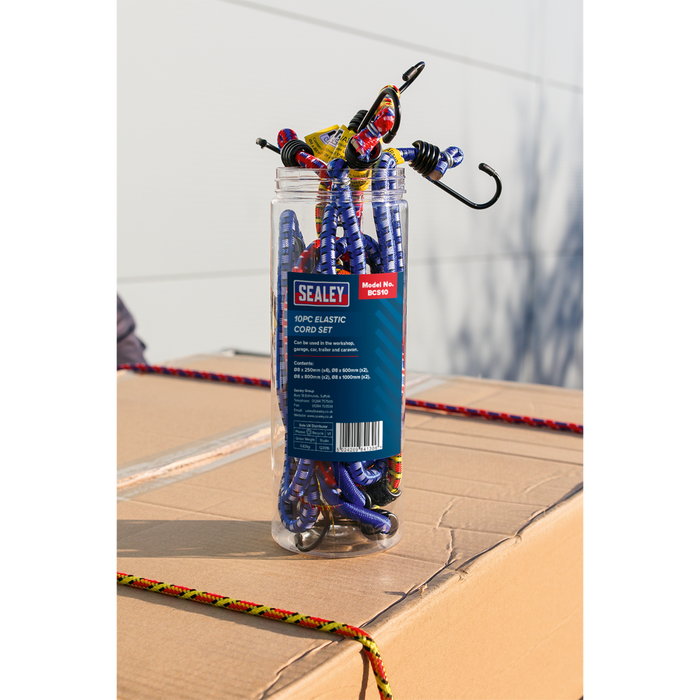 Bungee Cord Set 10pc | BCS10