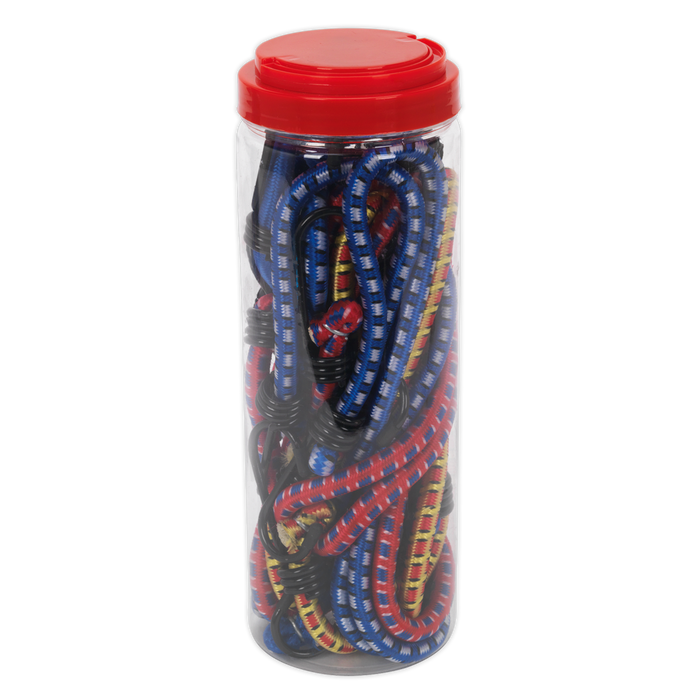 Bungee Cord Set 10pc | BCS10