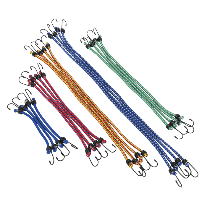 Bungee Cord Set 20pc | BCS20