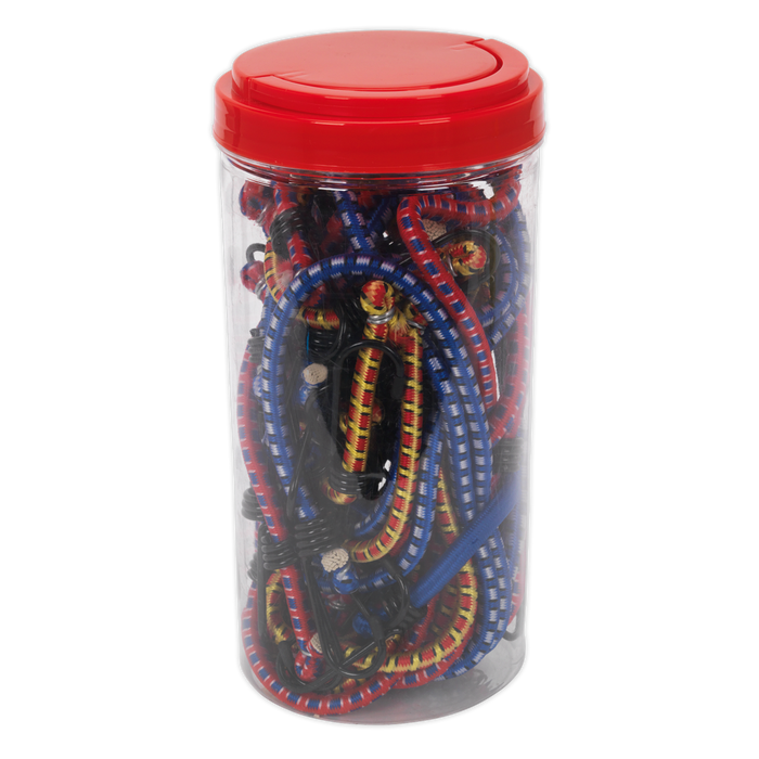 Bungee Cord Set 20pc | BCS20