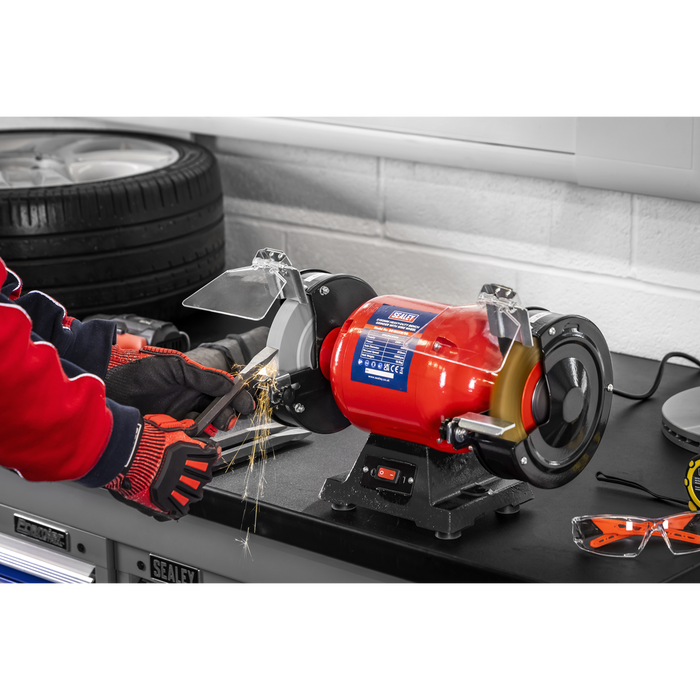 150mm Heavy-Duty Bench Grinder with Wire Wheel 450W/230V | BG150XW/99