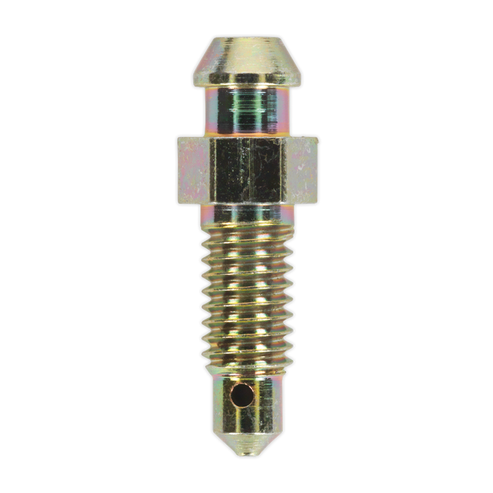 Brake Bleed Screw M6 x 29mm 1mm Pitch - Pack of 10 | BS6129