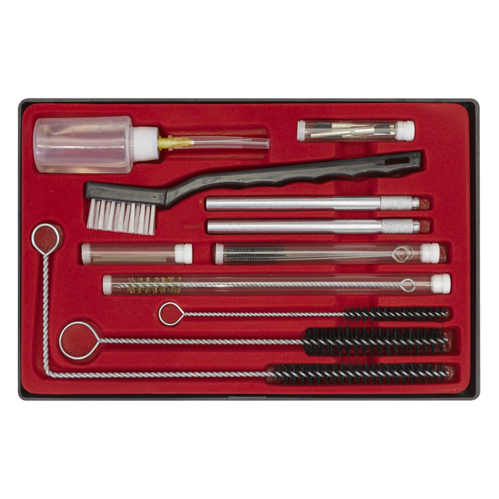 Spray Gun Cleaning Set 22pc | BSGC5