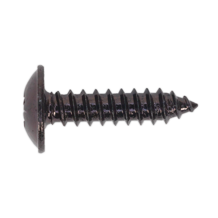 Self-Tapping Pozi Flanged Head Screw 4.8 x 19mm, Black - Pack of 100 | BST4819