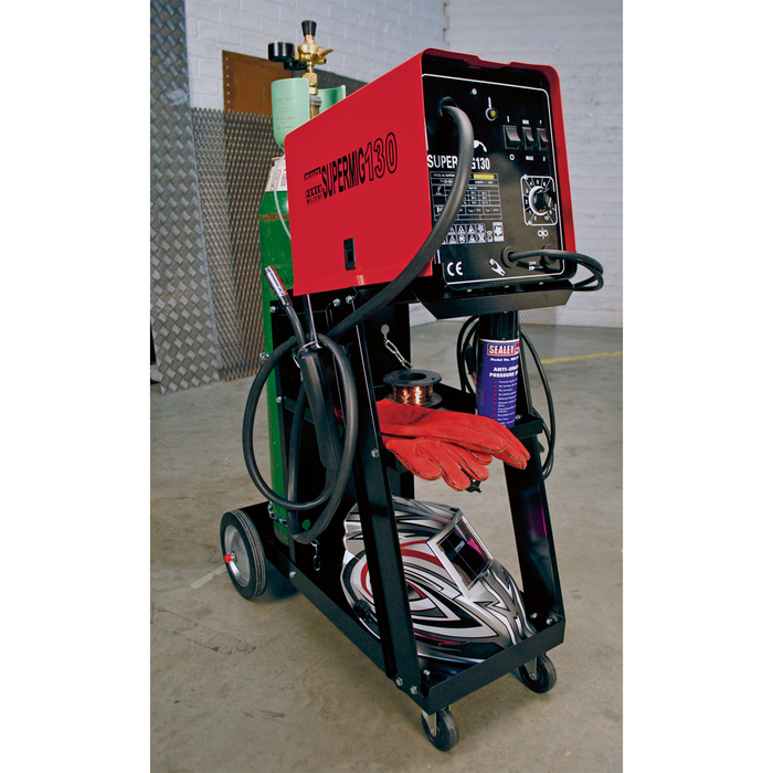 Universal Trolley for Portable MIG Welders | BTR4
