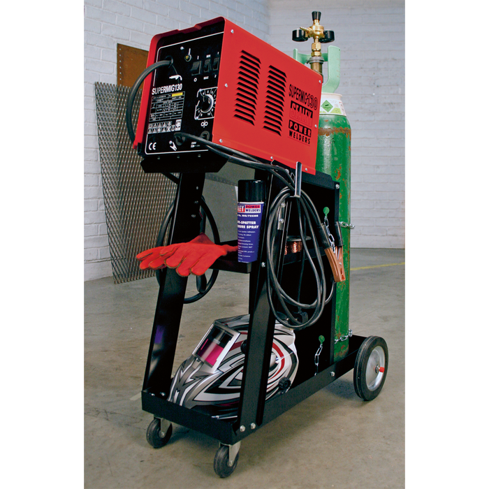 Universal Trolley for Portable MIG Welders | BTR4