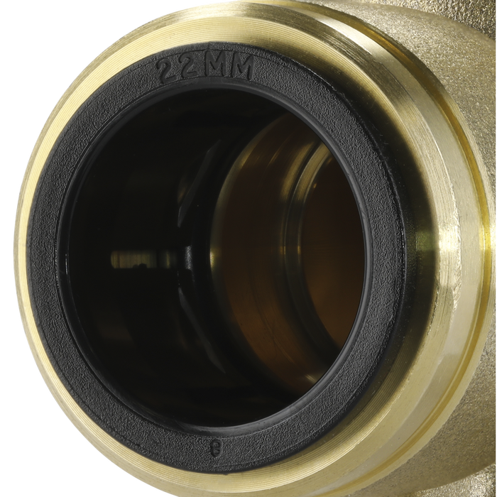 John Guest® Brass Wingback Elbow 22mm x 3/4"BSP | CAS22BWE