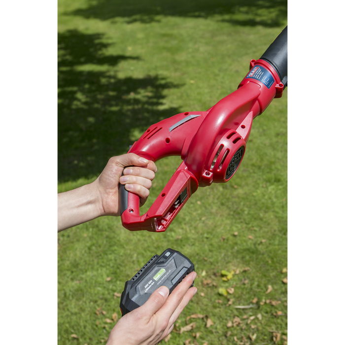 SV20 Series Cordless Leaf Blower with 20V 4Ah Battery & Charger | CB20VCOMBO4