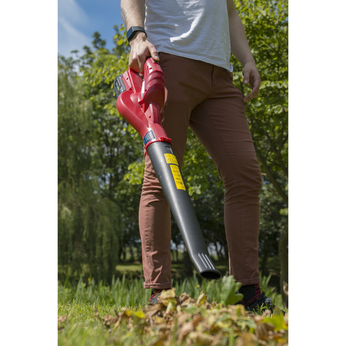 SV20 Series Cordless Leaf Blower with 20V 2Ah Battery & Charger | CB20VCOMBO2