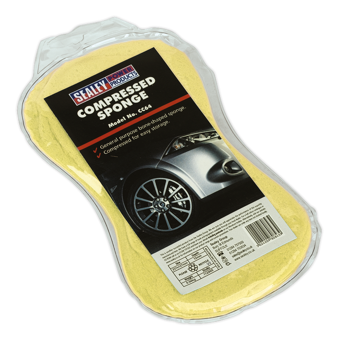 Large Sponge | CC64