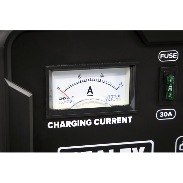 12/24V Battery Charger 19A 230V | CHARGE115