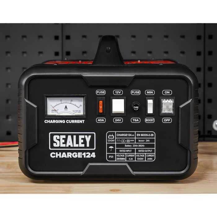 12/24V Battery Charger 28A 230V | CHARGE124