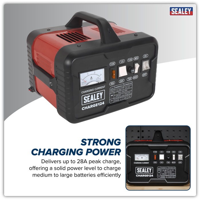 12/24V Battery Charger 28A 230V | CHARGE124
