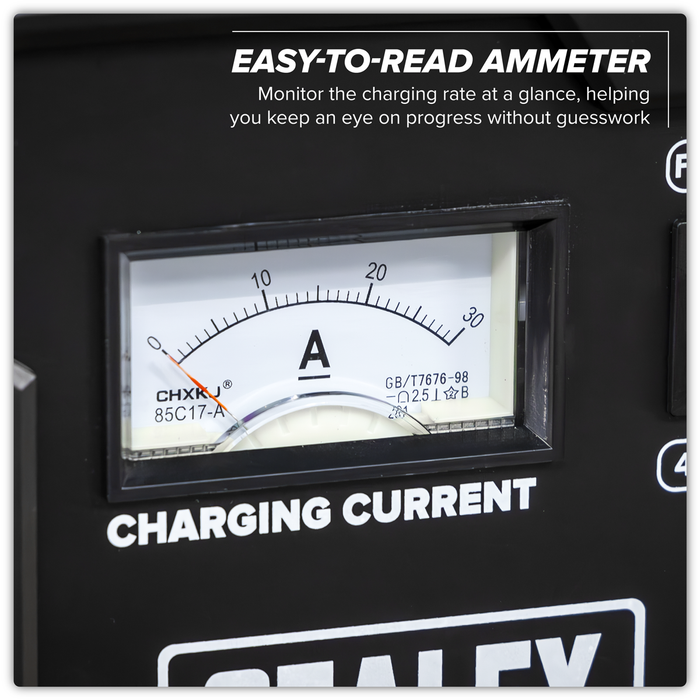 12/24V Battery Charger 28A 230V | CHARGE124