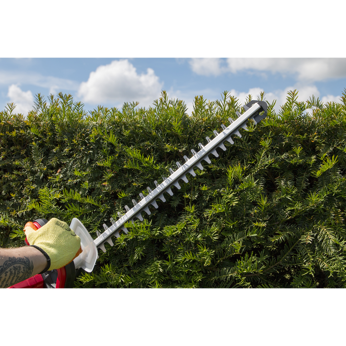 SV20 Series Cordless Hedge Trimmer 20V 4Ah with Battery & Charger | CHT20VCOMBO4