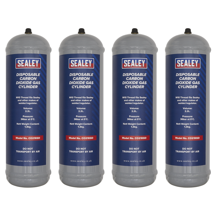 Disposable Carbon Dioxide Gas Cylinder 1.3kg - Pack of 4 | CO21KGD4