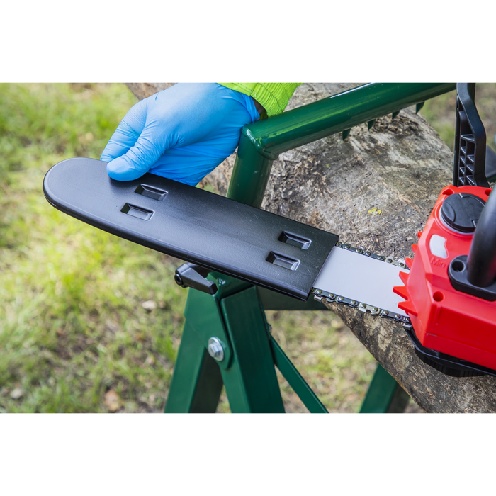 SV20 Series 25cm Cordless Chainsaw Kit 20V 4Ah | CP20VCHSKIT1