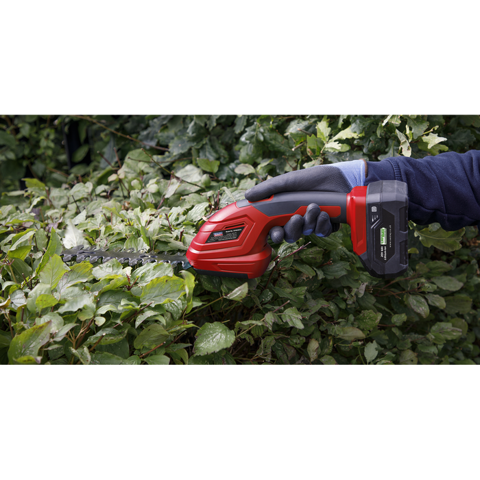 2 x SV20 Series Cordless Power Tool Gardening Kit 20V - 2 Batteries | CP20VCOMBO14
