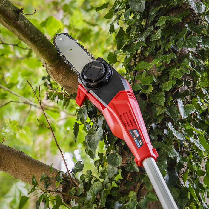 SV20 Series 20cm Cordless Telescopic Chainsaw Kit 20V 4Ah | CP20VTP02