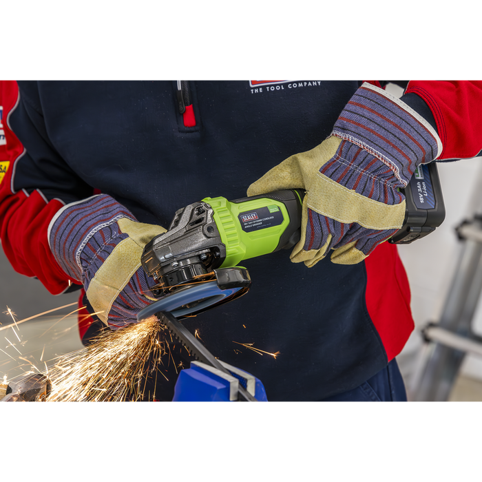 115mm Cordless Angle Grinder 18V 3Ah - Green | CP401LIHV