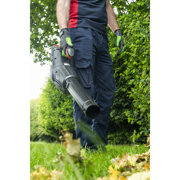 SV20 Series Cordless Blower 40V - Body Only | CP40VB