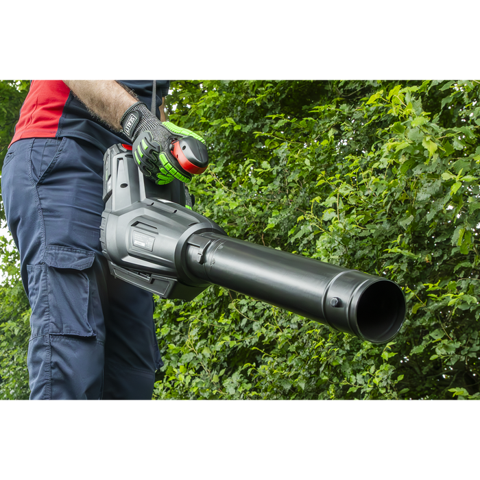 SV20 Series Cordless Blower 40V - Body Only | CP40VB