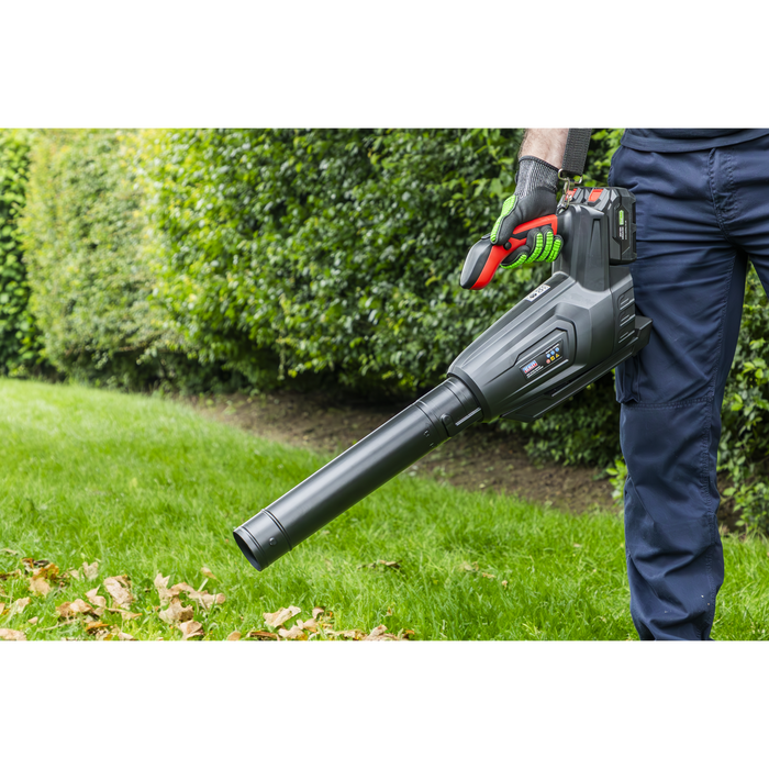 SV20 Series Cordless Blower 40V - Body Only | CP40VB
