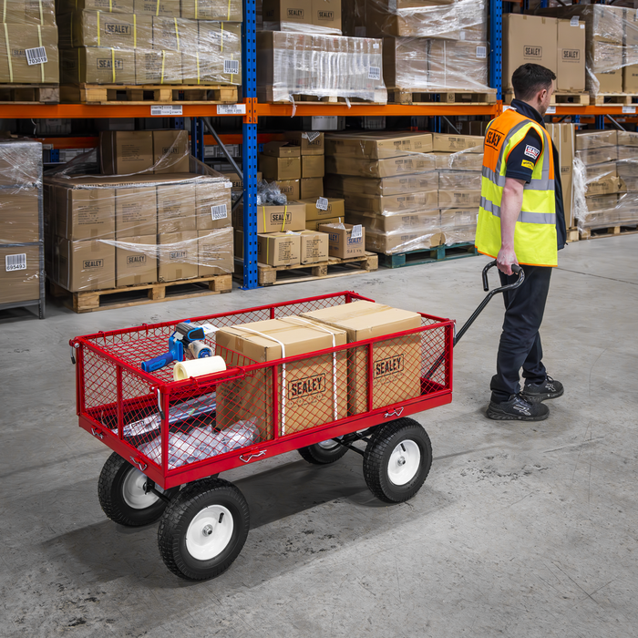 Platform Truck with Sides Pneumatic Tyres 350kg Capacity | CST806