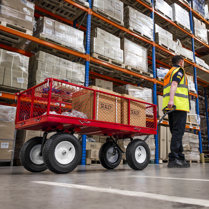 Platform Truck with Sides Pneumatic Tyres 350kg Capacity | CST806