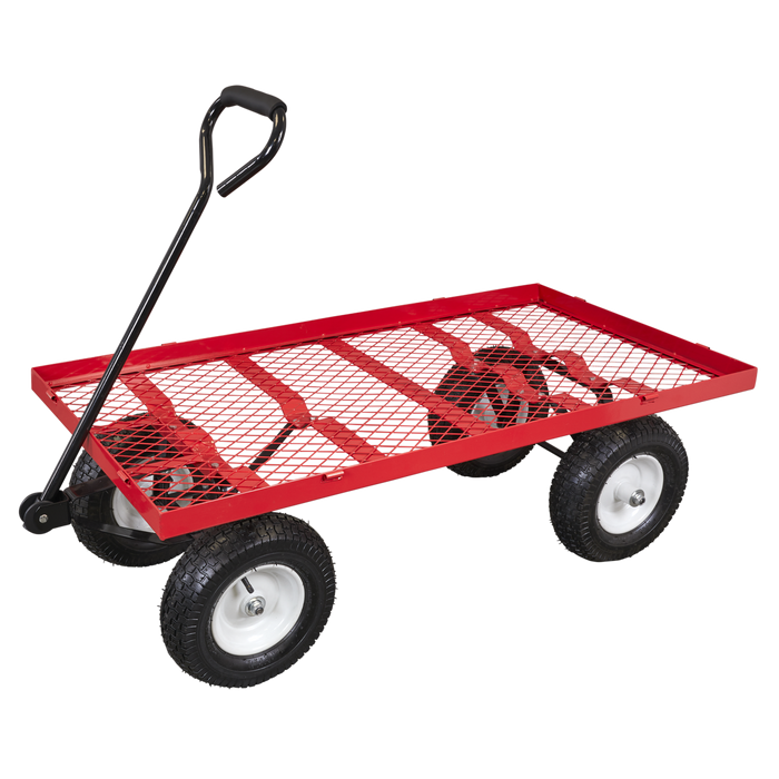 Platform Truck with Sides Pneumatic Tyres 350kg Capacity | CST806