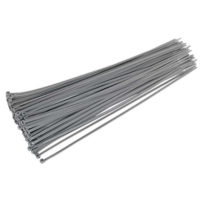Cable Tie 380 x 4.4mm, Silver - Pack of 100 | CT38048P100S