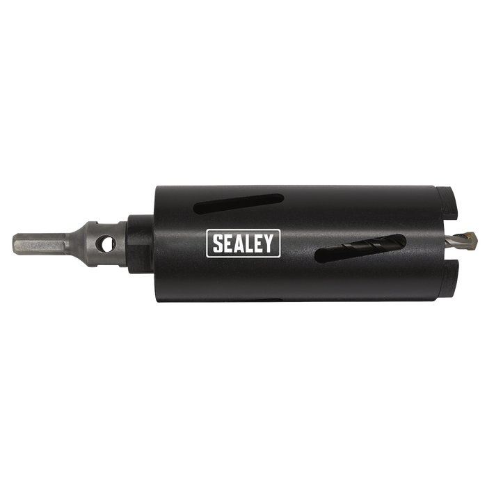 Worksafe® Core-to-Go Dry Diamond Core Drill Bit 65mm x 150mm | CTG65